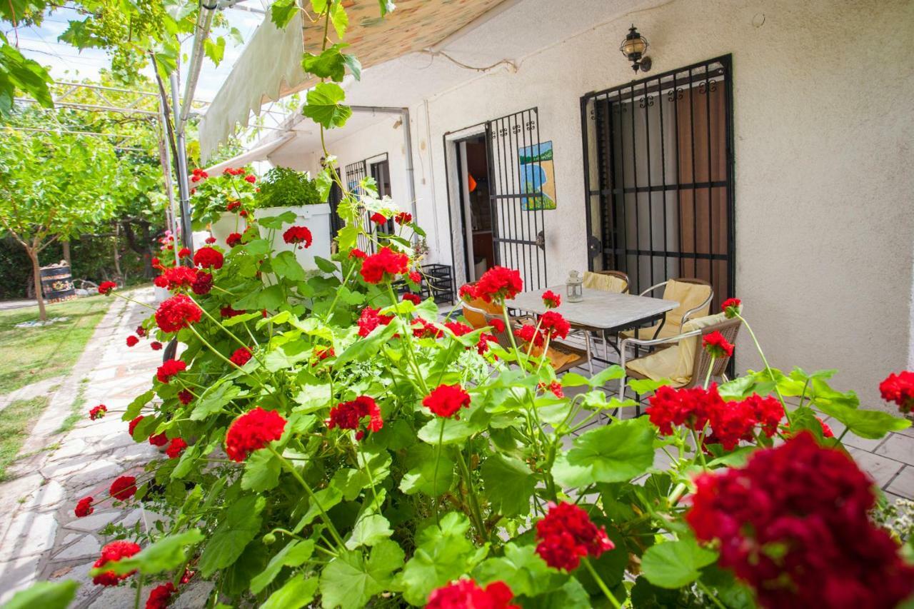 Nakou House Villa Vrachos Luaran gambar